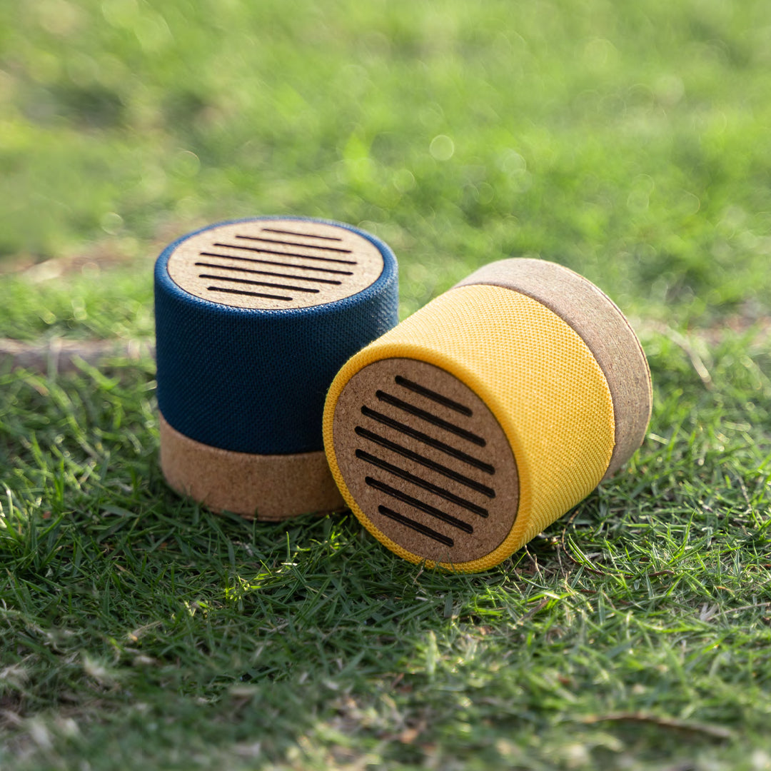 Mini Speaker
